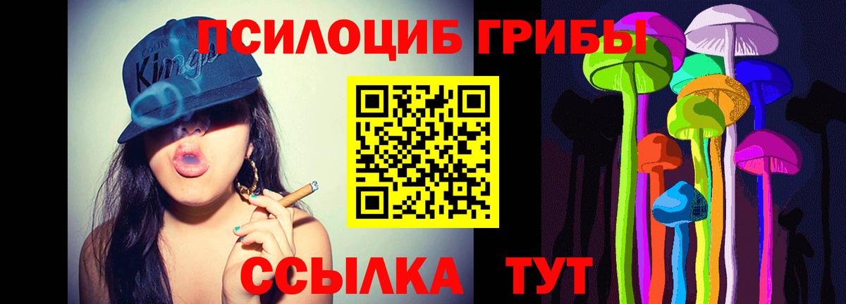 Псилоцибиновые грибы Psilocybe Малгобек